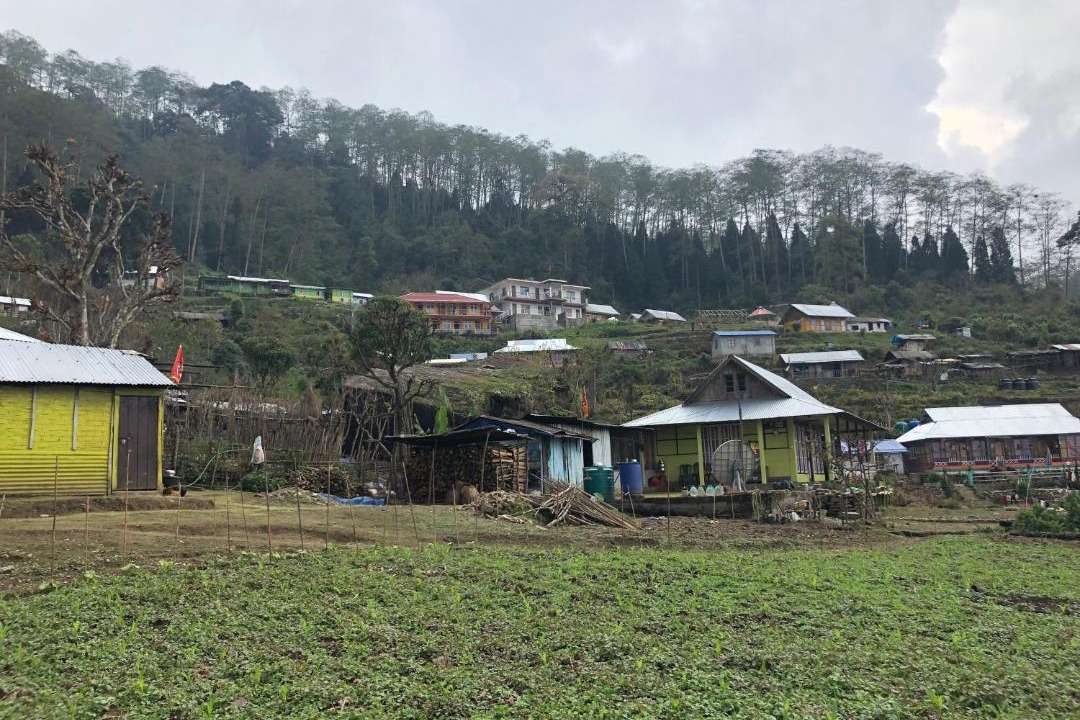 Photo of Others in Kalimpong