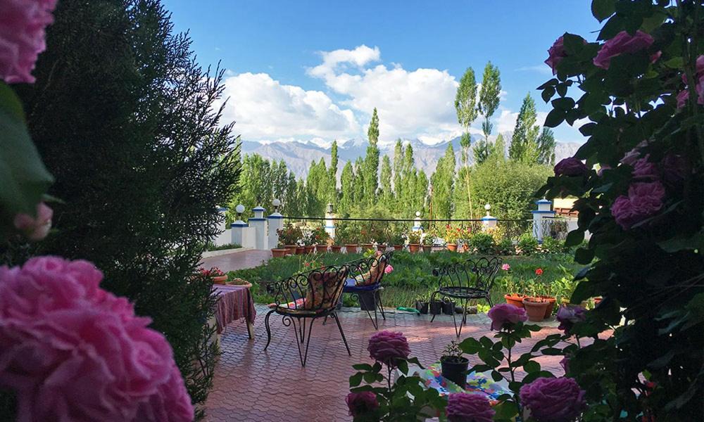 Photo of Others in Leh