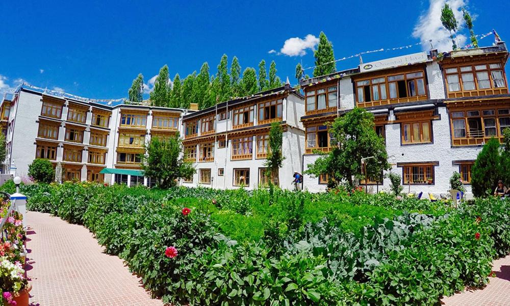 Photo of Others in Leh