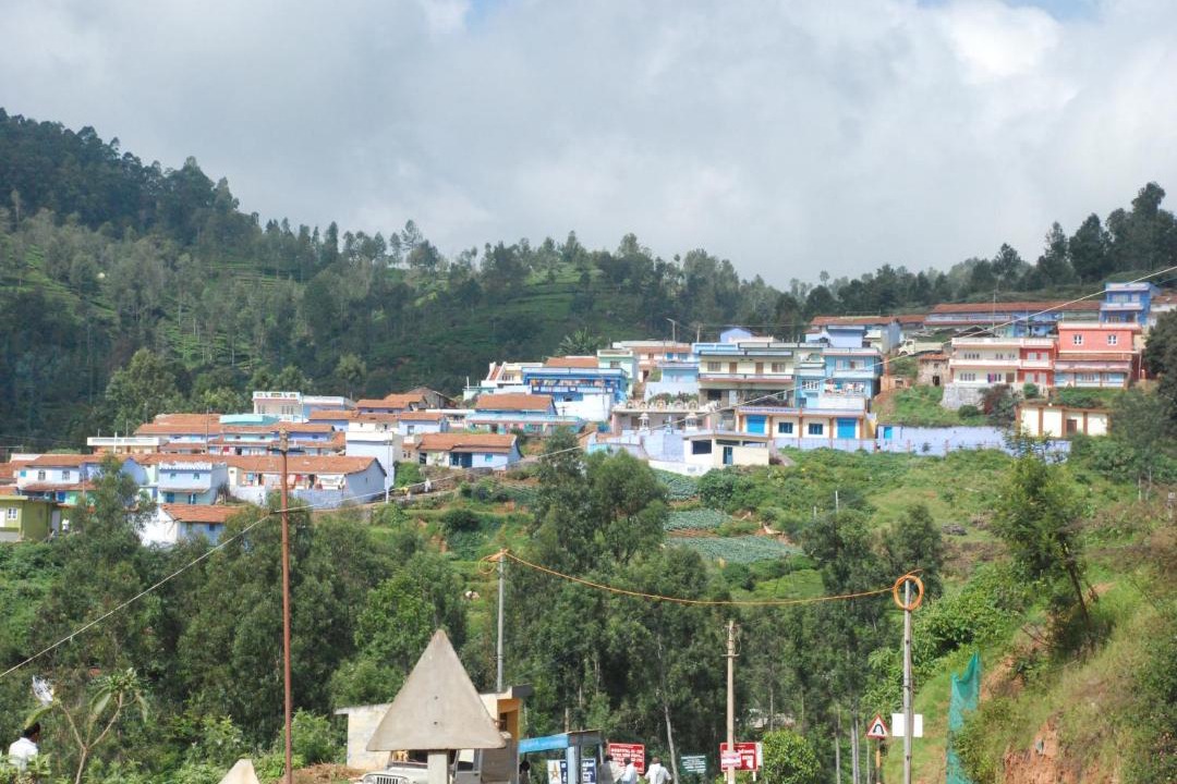Photo of Others in Masinagudi