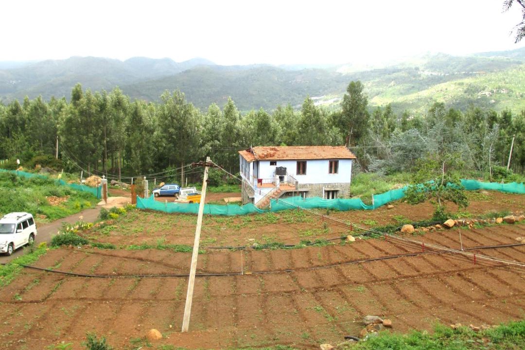 Photo of Others in Masinagudi