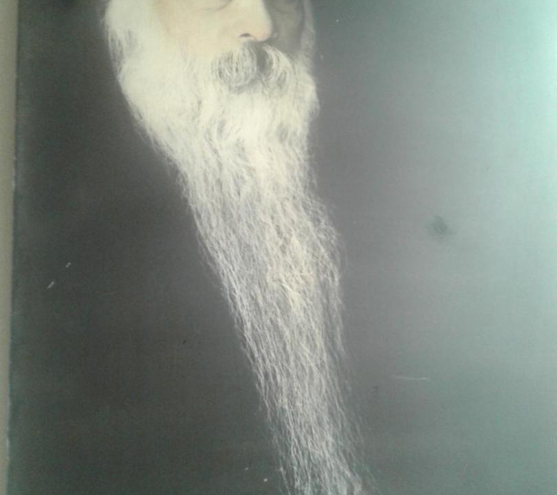 Photo of Others in Koregaon Park