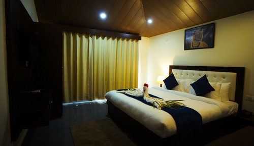 The Palm Suite