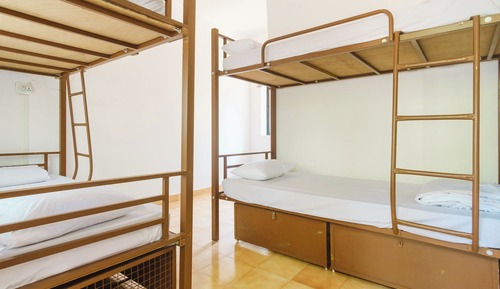 Basic Shared Dormitory with Single Bed