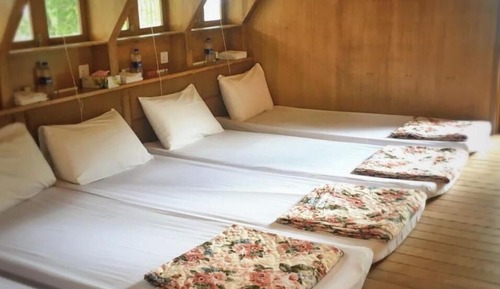 Business Cabin