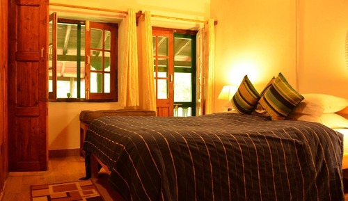 Beetle Single Room