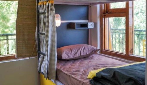Bed in 4 Bed Mixed Dormitory