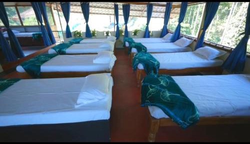 Bed in 10-Bed Mixed Dormitory Room