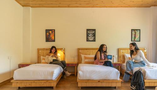 Bed in 4-Bed Mixed Dormitory Room