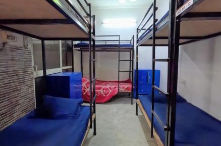 Bed in 8-Bed Dormitory Room