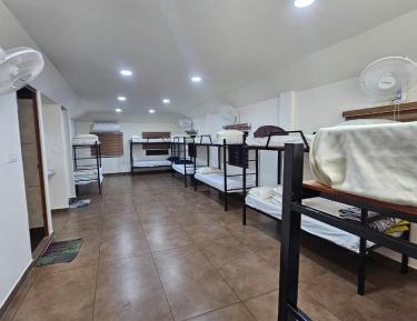 Bunk Bed in Mixed Dormitory Room
