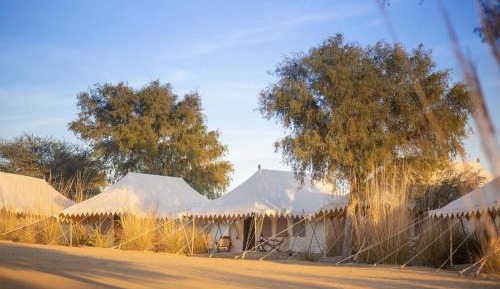 Tent