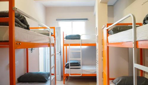 Bunk Bed in Mixed Dormitory Room