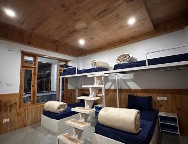 Bed in 4-Bed Female Dormitory Room
