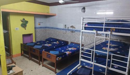 6-Bed Mixed Dormitory Room