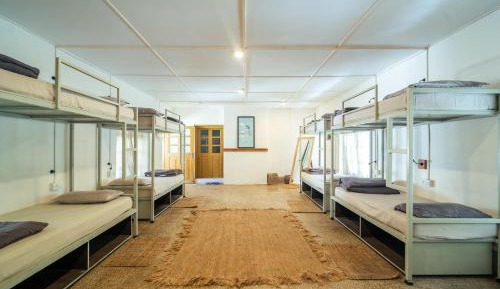 Single Bed in Mixed Dormitory Room