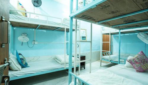 Bed in 6-Bed Dormitory Room