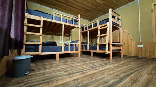 Bed in 4-Bed Female Dormitory Room
