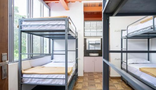 Bunk Bed in Mixed Dormitory Room