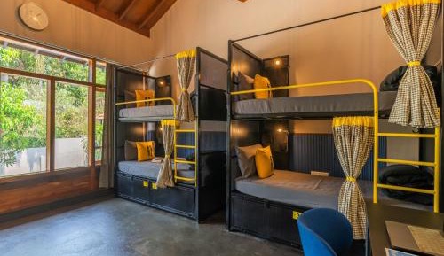 Bed in 6-Bed Dormitory Room