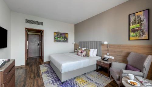 Deluxe Room City View King Bed