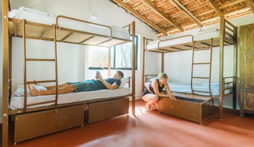 Bed in 4-Bed Dormitory Room