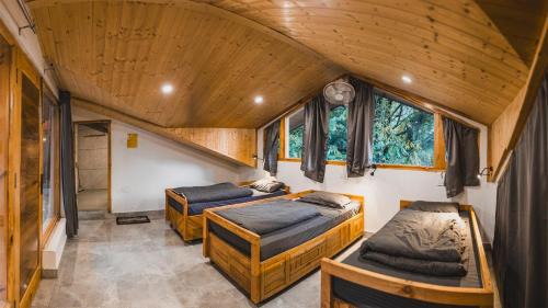 Single Bed in Female Dormitory Room
