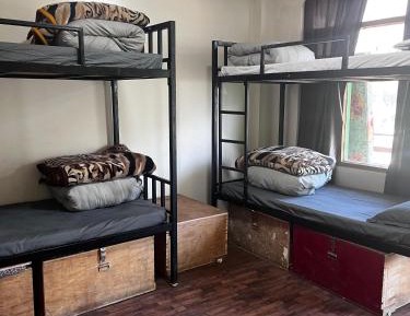 Bed in 6-Bed Mixed Dormitory Room