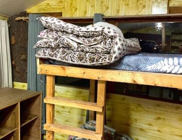 Single Bed in 6-Bed Dormitory Room