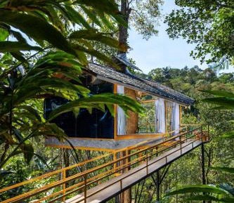 Luxury Tree House AC with Balcony