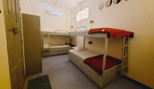 Bed in 6-Bed Mixed Dormitory Room