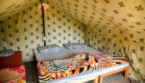 Safari Tent