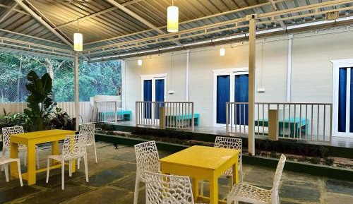 Bunk Bed in Mixed Dormitory Room