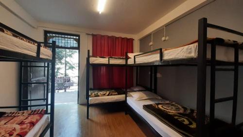 Bed in 6-Bed Dormitory Room