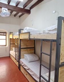 Bunk Bed in Female Dormitory Room  