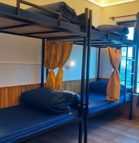 Bed in 4-Bed Mixed Dormitory Room