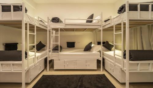 Bed in 6-Bed Mixed Dormitory Room