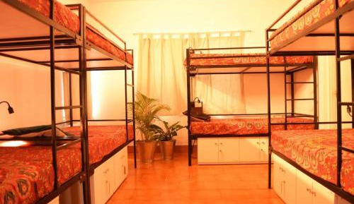 Bunk Bed in Female Dormitory Room  