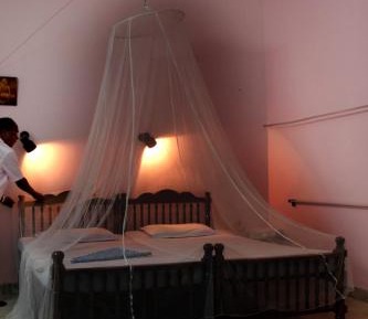 Standard Double Room with Fan