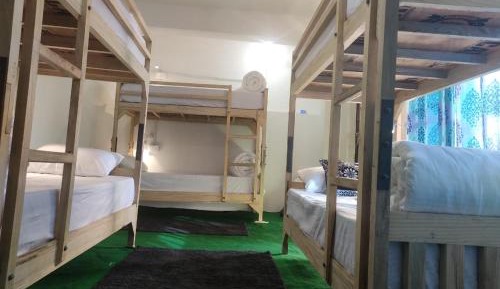 Bunk Bed in Mixed Dormitory Room