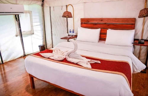 Dandeli Hotel | Century Resorts