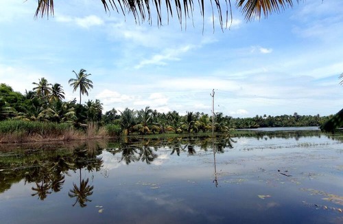 Kumarakom House | Houseboat Cruise in the Backwaters of Kerala