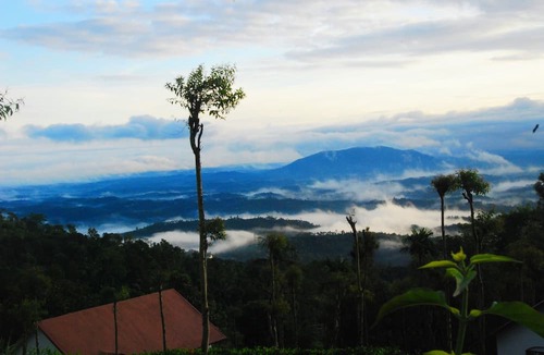 Vayittiri Resort | Tea Terrace Vythiri Resort