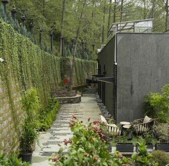 Kasauli Resort | Van Rāsa