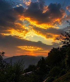 Kanatal Resort | Bliss of Nature Resort