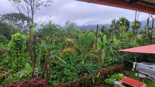 Mudigere House | Doddagadde Homestay and Villas - Near to Ettina Bhuja trek and falls