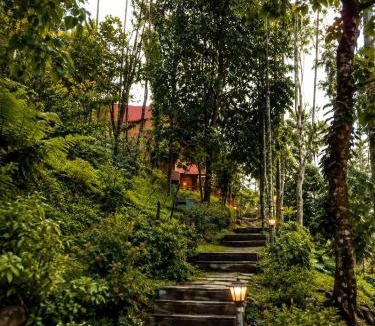 Vayittiri Resort | Banasura Wetlands Wayanad Boutique Pool Resort