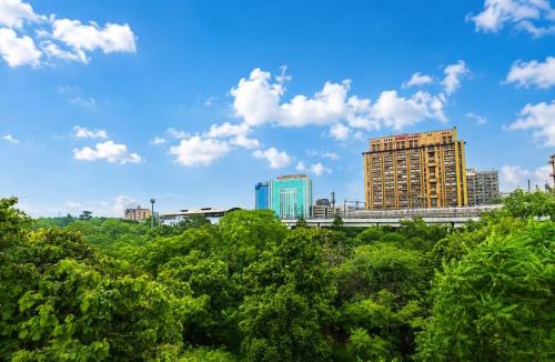 East of Kailash House | House Of Comfort Delhi