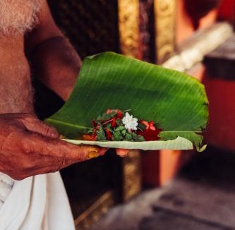 Muvattupuzha Resort | Indian Summer House