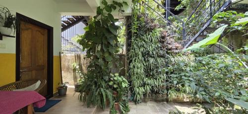 Kumily House | Periyar Inn